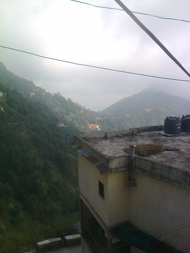 Picture
