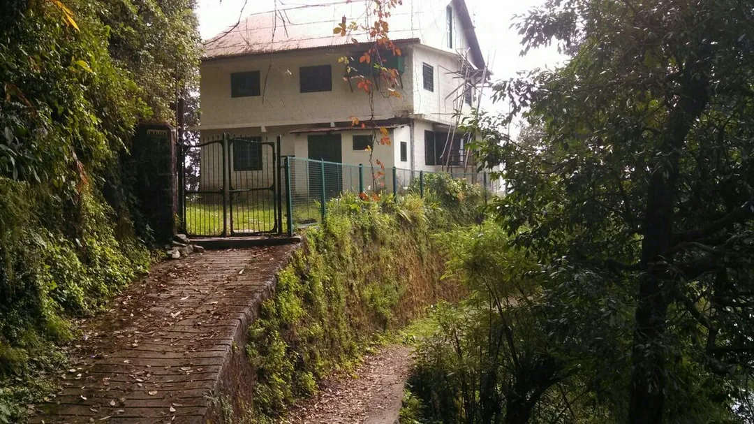 Picture